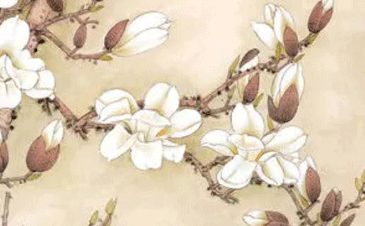 2024年农历十月十八动土好吗 今日建筑房屋好吗 2024年农历十月十八动土好吗 今日建筑房屋好吗