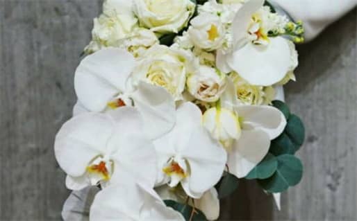 2025年农历六月十一领证黄道吉日 是领证好日子吗