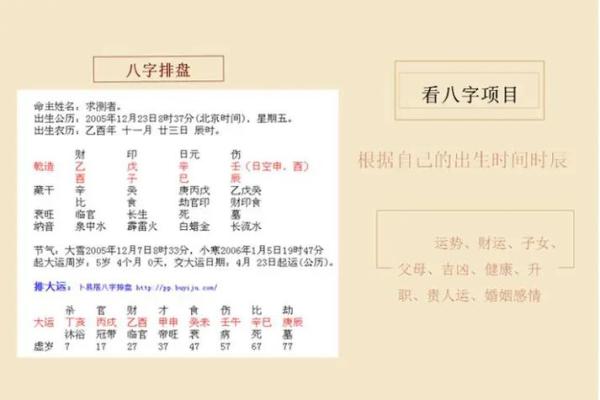 八字食神的人有哪些特征，高学历的人有哪些八字特征