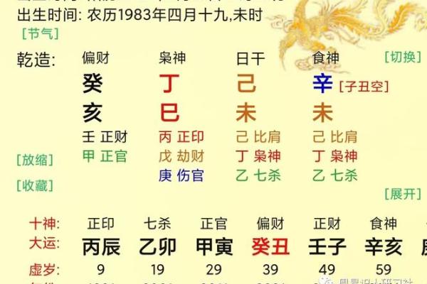 八字食神的人有哪些特征，高学历的人有哪些八字特征