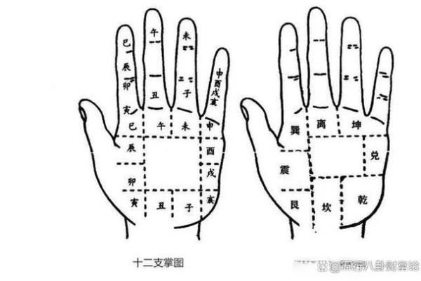 八字硬不硬包括哪些,怎么看八字硬不硬 八字硬不硬包括哪些,怎么看八字硬不硬